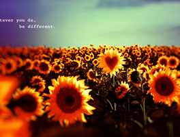 短信验证码轰炸网址免费